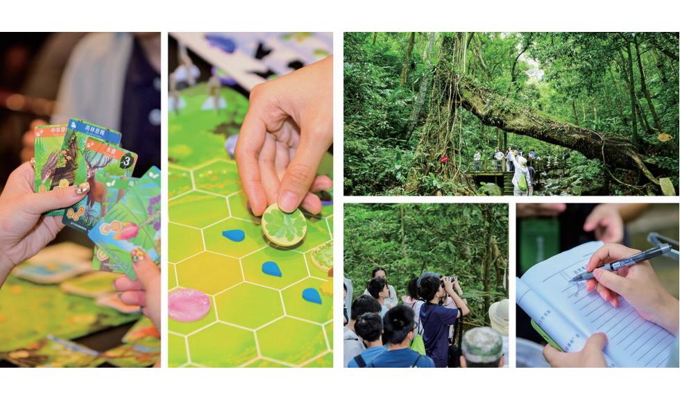 乐元素在游戏中探秘雨林：科普原来可以这么有趣