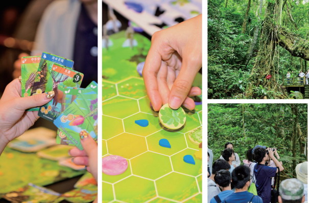 2025游戏公益典型案例集——科学普及